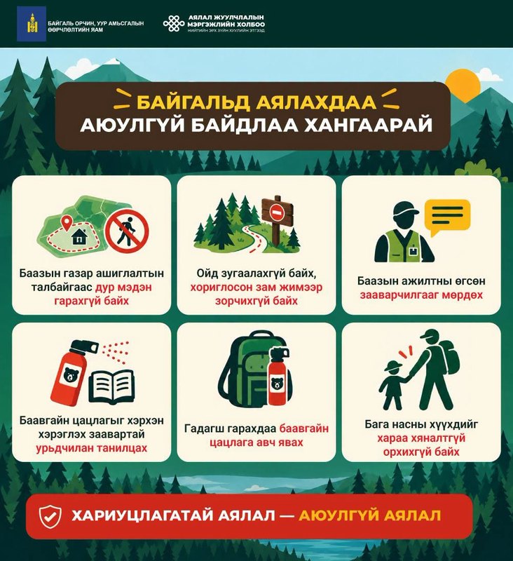 Улсын хэмжээнд 27 хүрэн баавгайг аюулгүй болгожээ